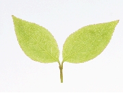 横浜市行政書士 介護1.BMP